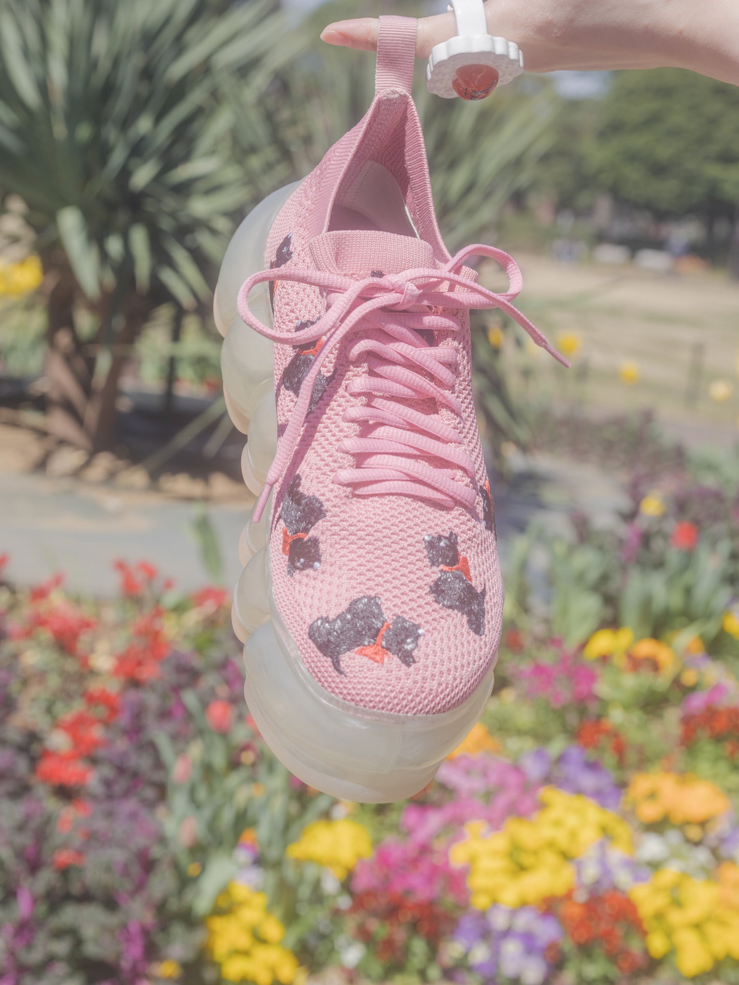 新款“珠宝”鞋 / 粉色 / PINK HOUSE × MIKIOSAKABE