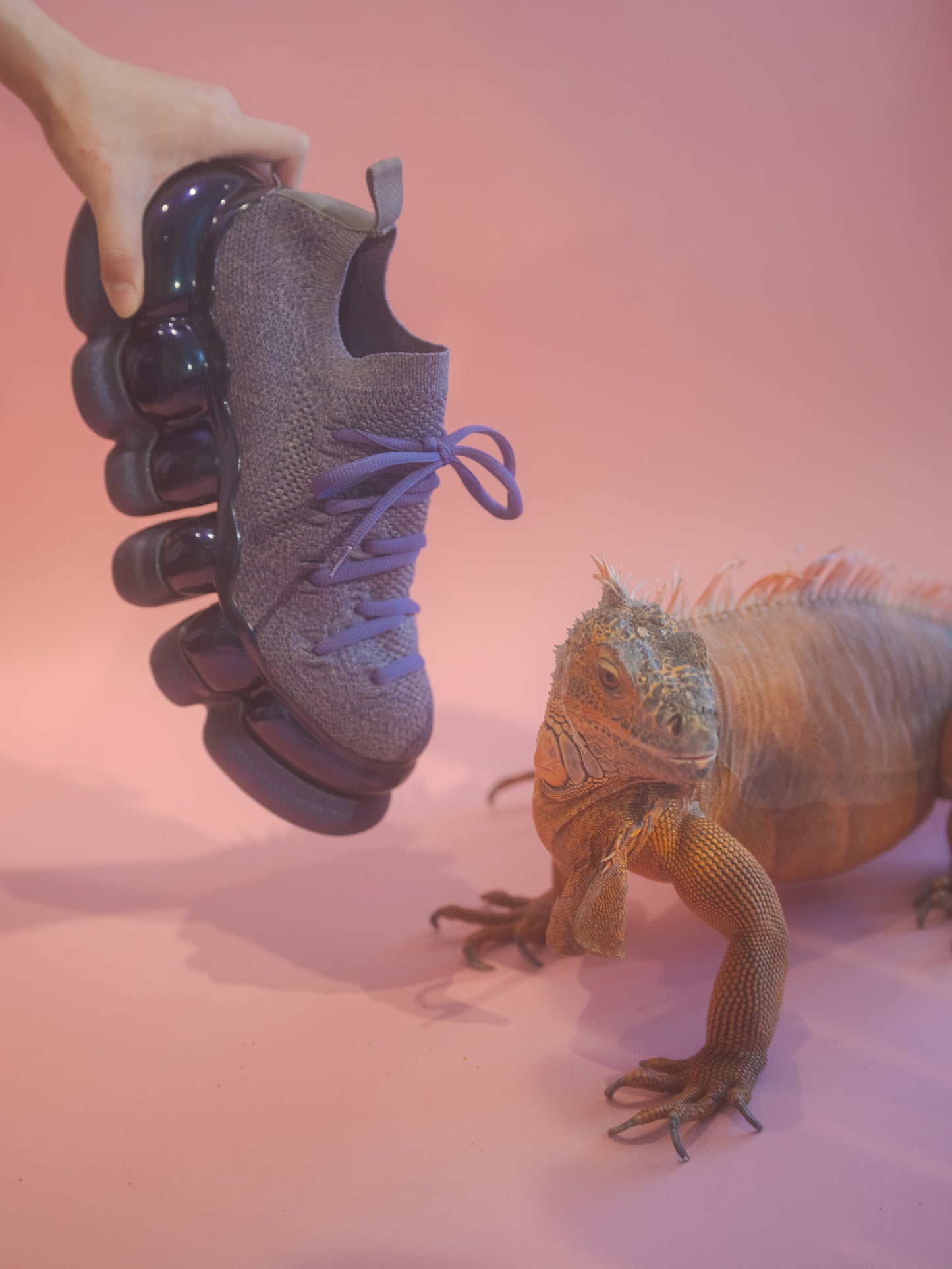 《珠宝》方舟凹凸/紫极光