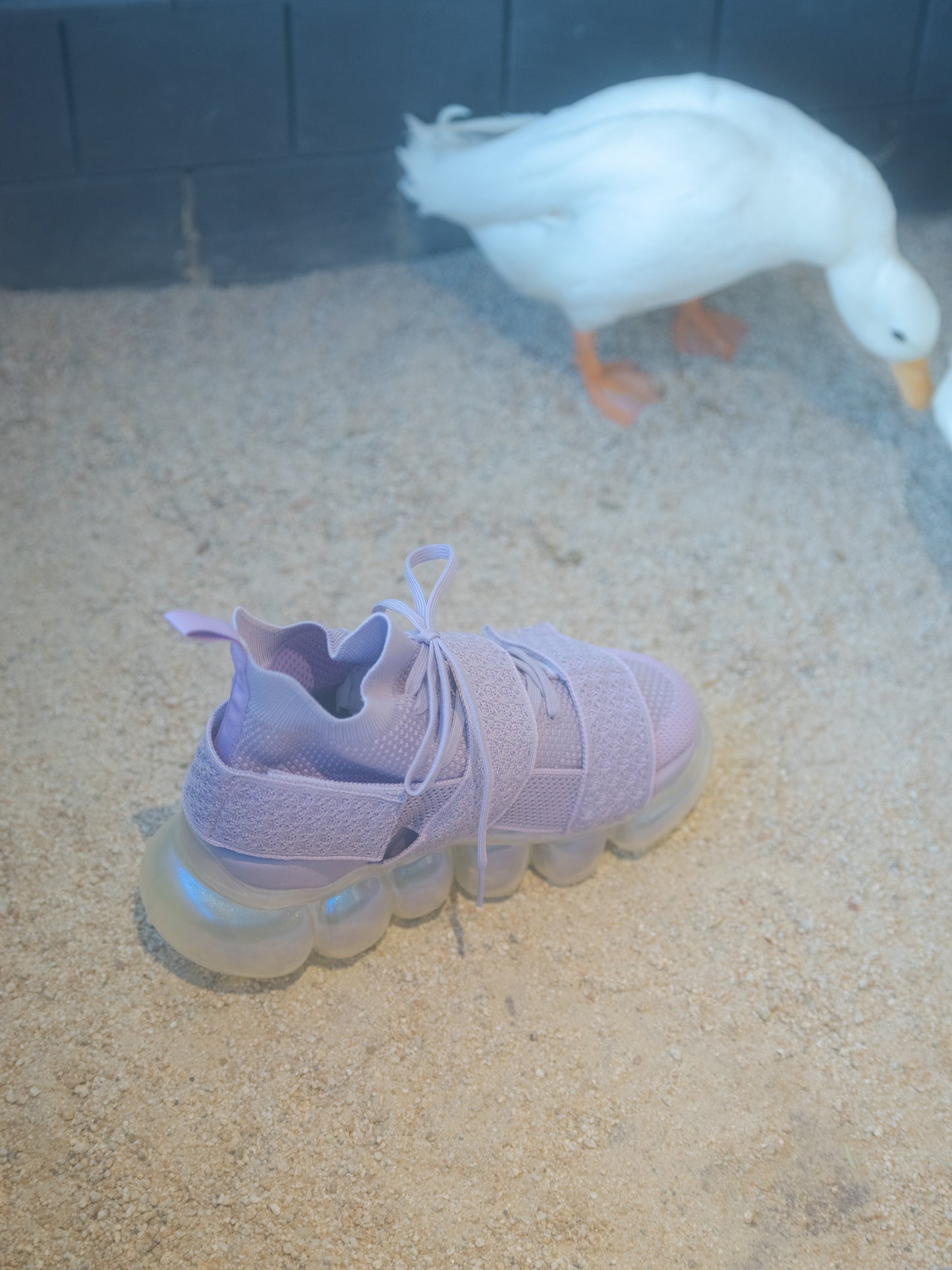 “珠宝”高跟鞋 Beltcross / Aurora Lilac