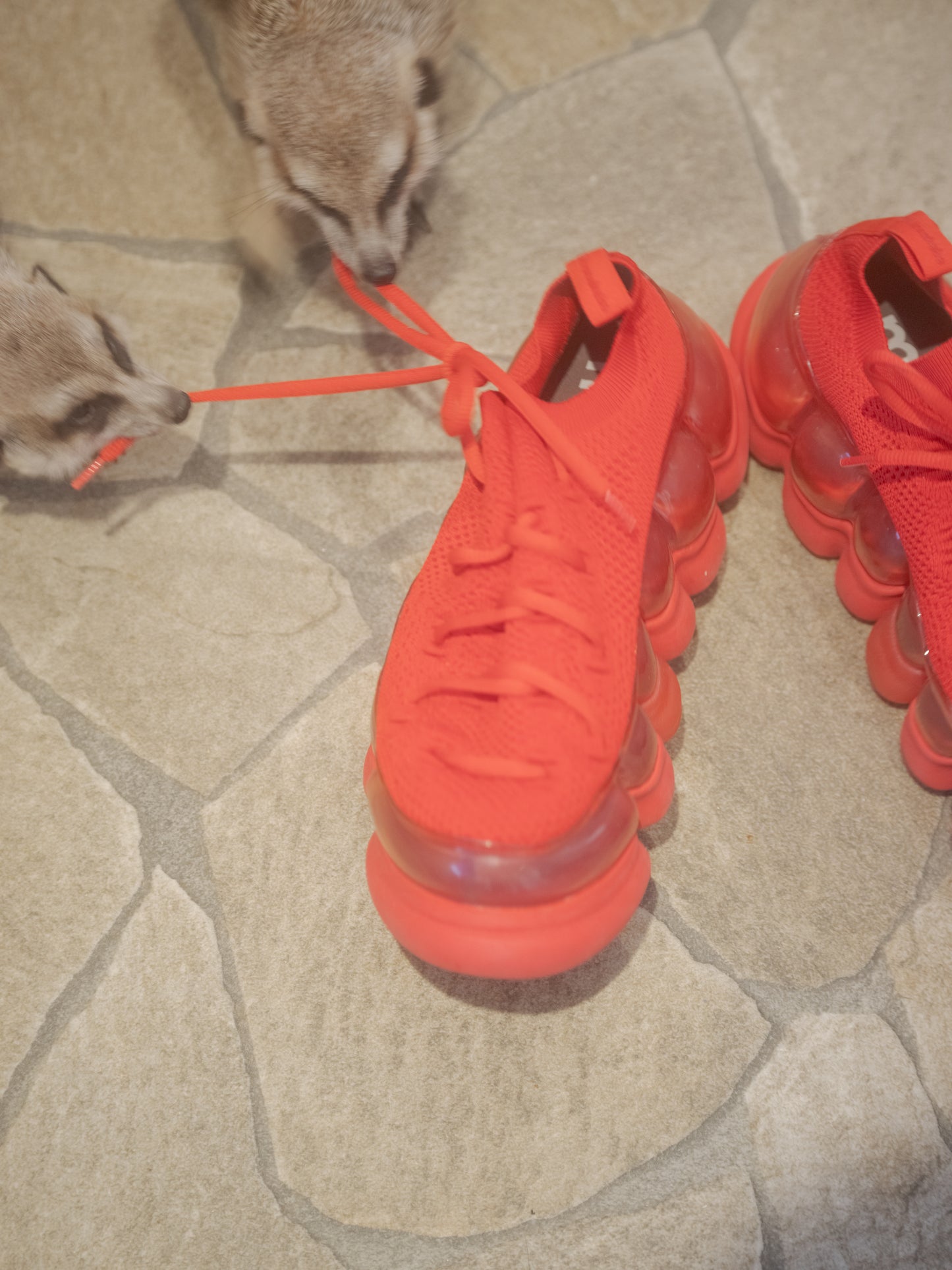 "Jewelry" Ark Bump / Red