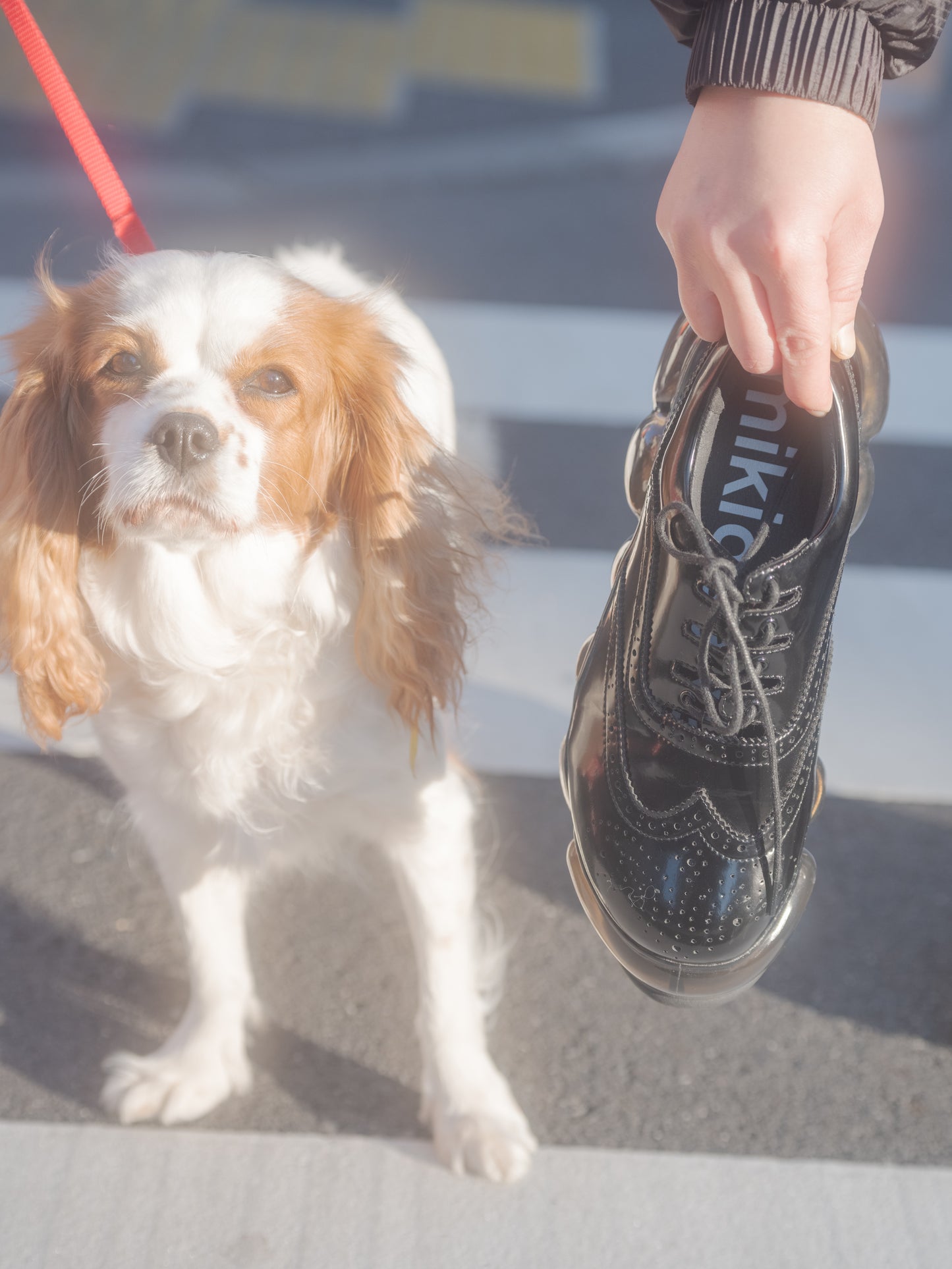 New "Jewelry" Ghillie / Black