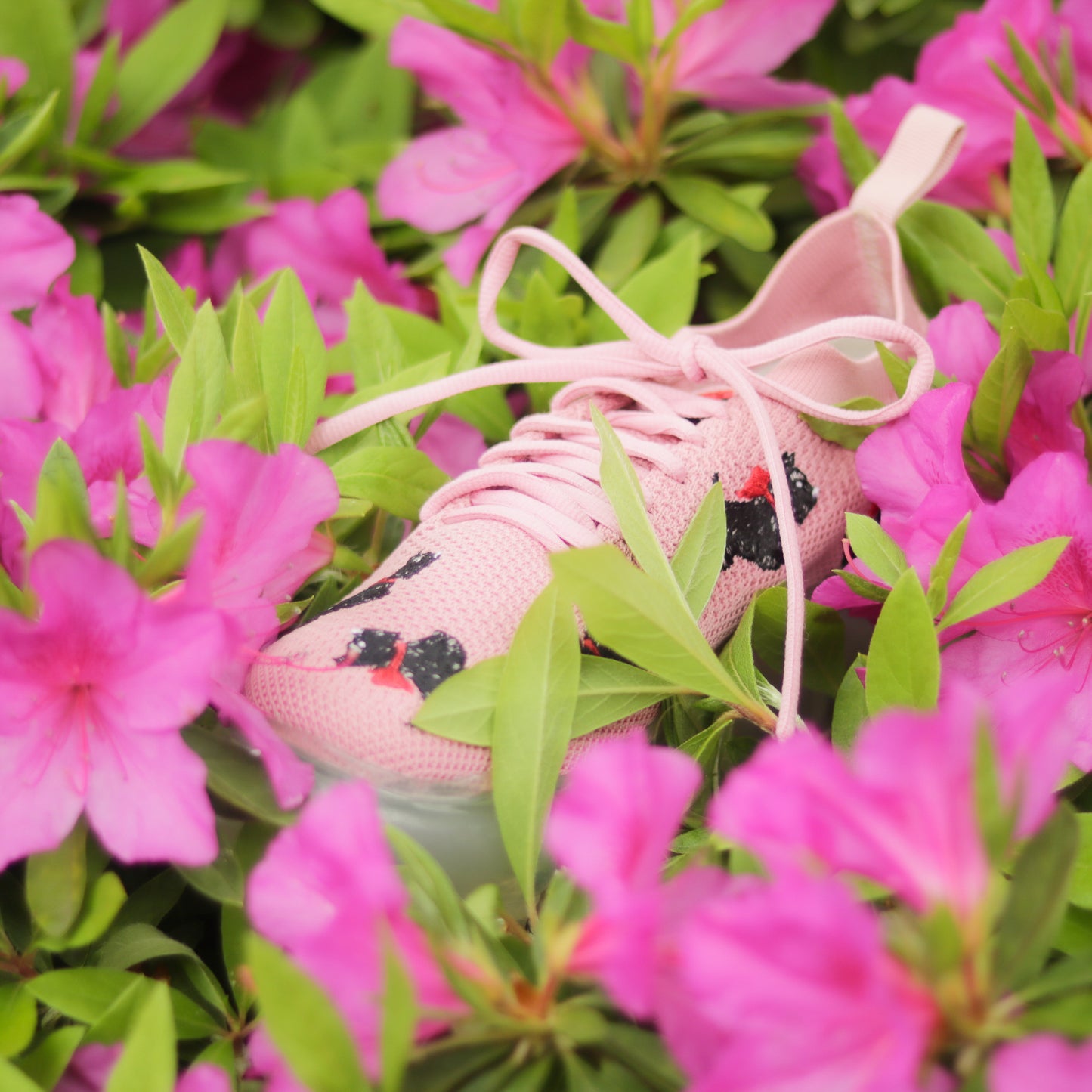 新款“珠宝”鞋 / 粉色 / PINK HOUSE × MIKIOSAKABE