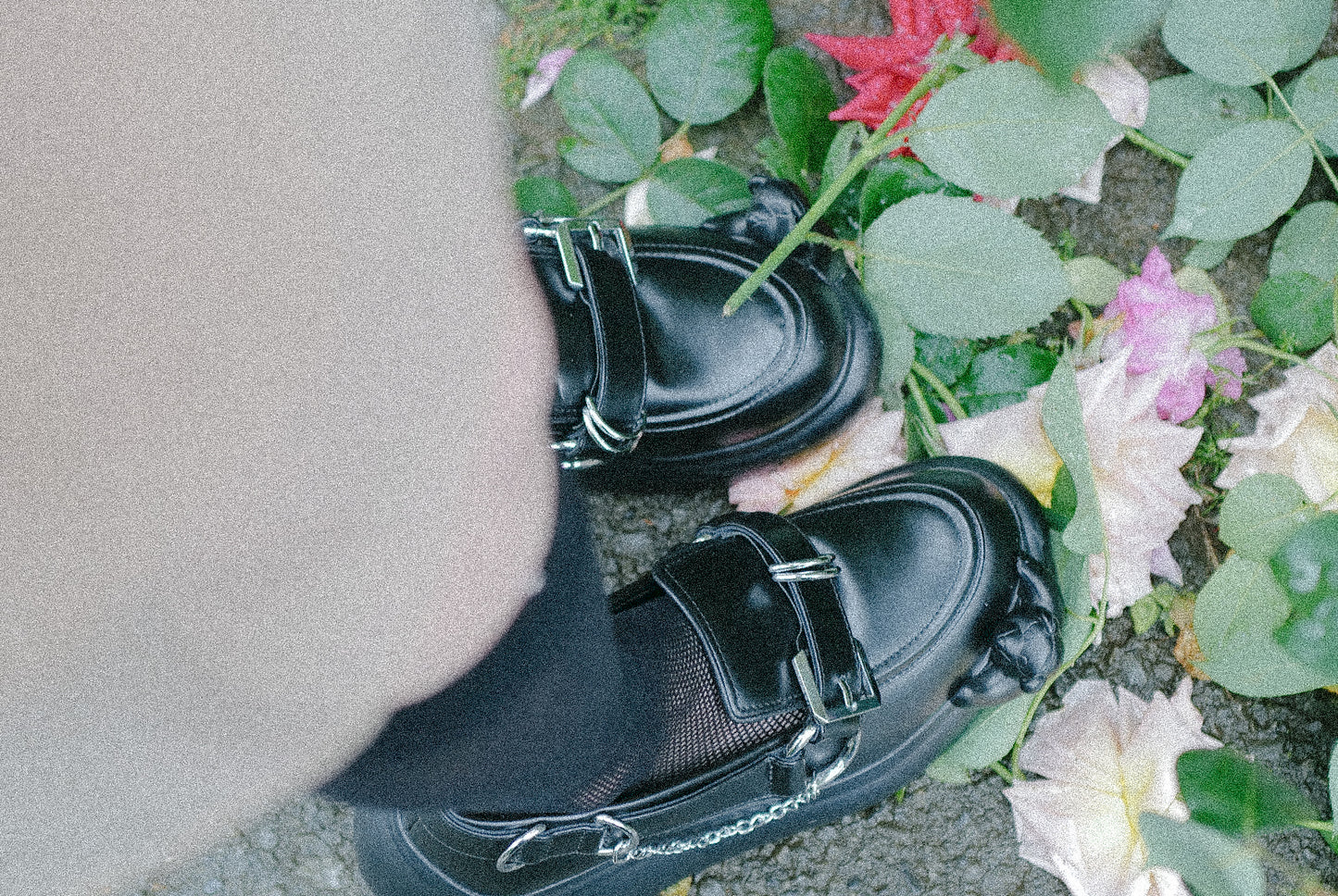 Bad Bear Moon / Black