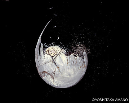 【订单】珠宝天使蛋 / 米色 / MSTT25SH01