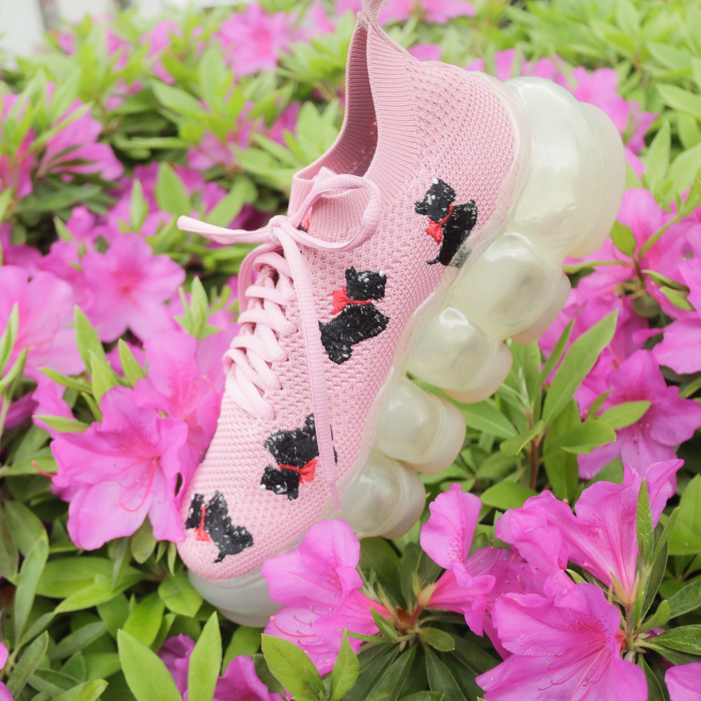 New "Jewelry" Shoes / Pink / MIKIOSAKABE × PINK HOUSE