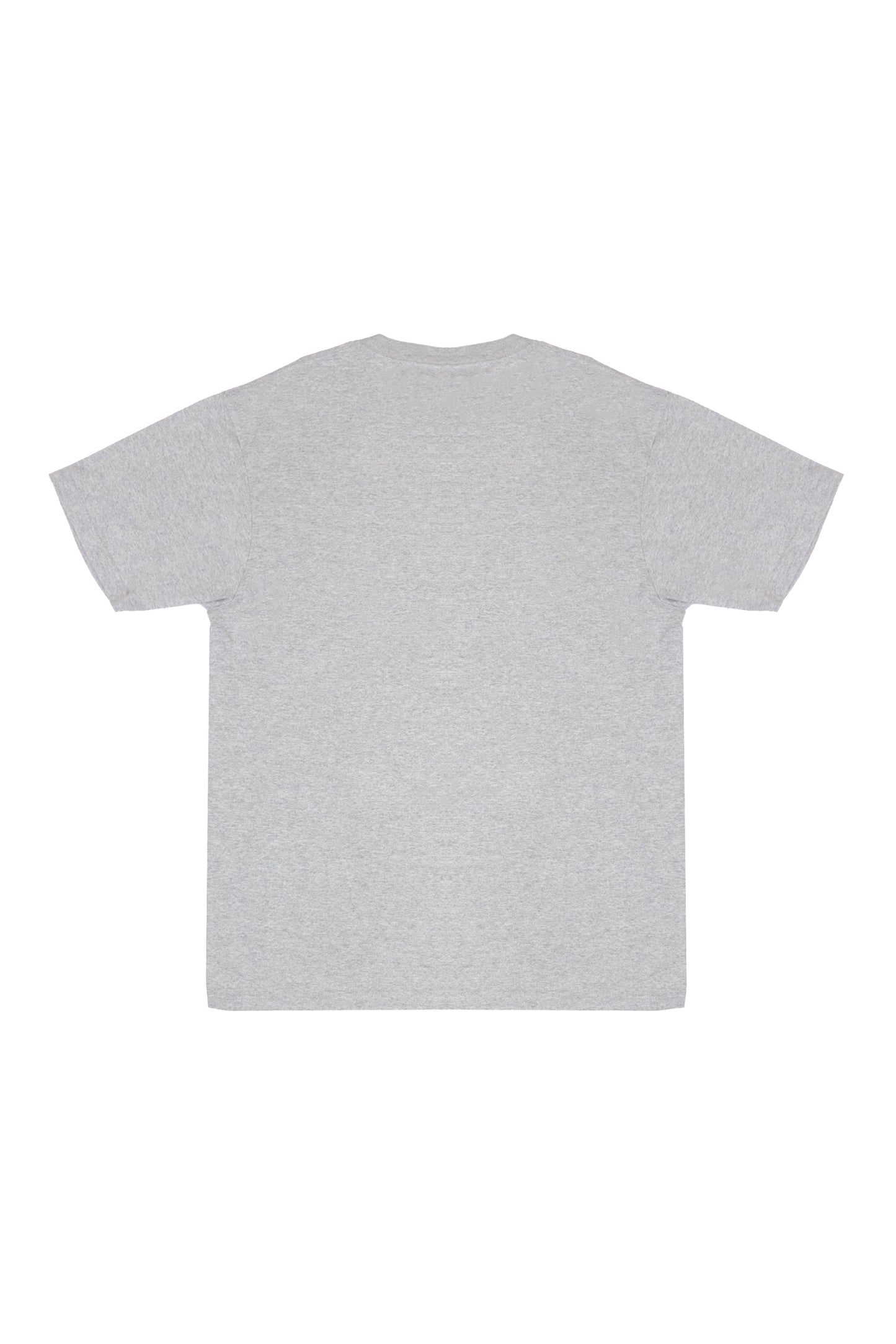 【SS26受注】Souvenir T-Shirt Tropical / Gray / MSS26T06