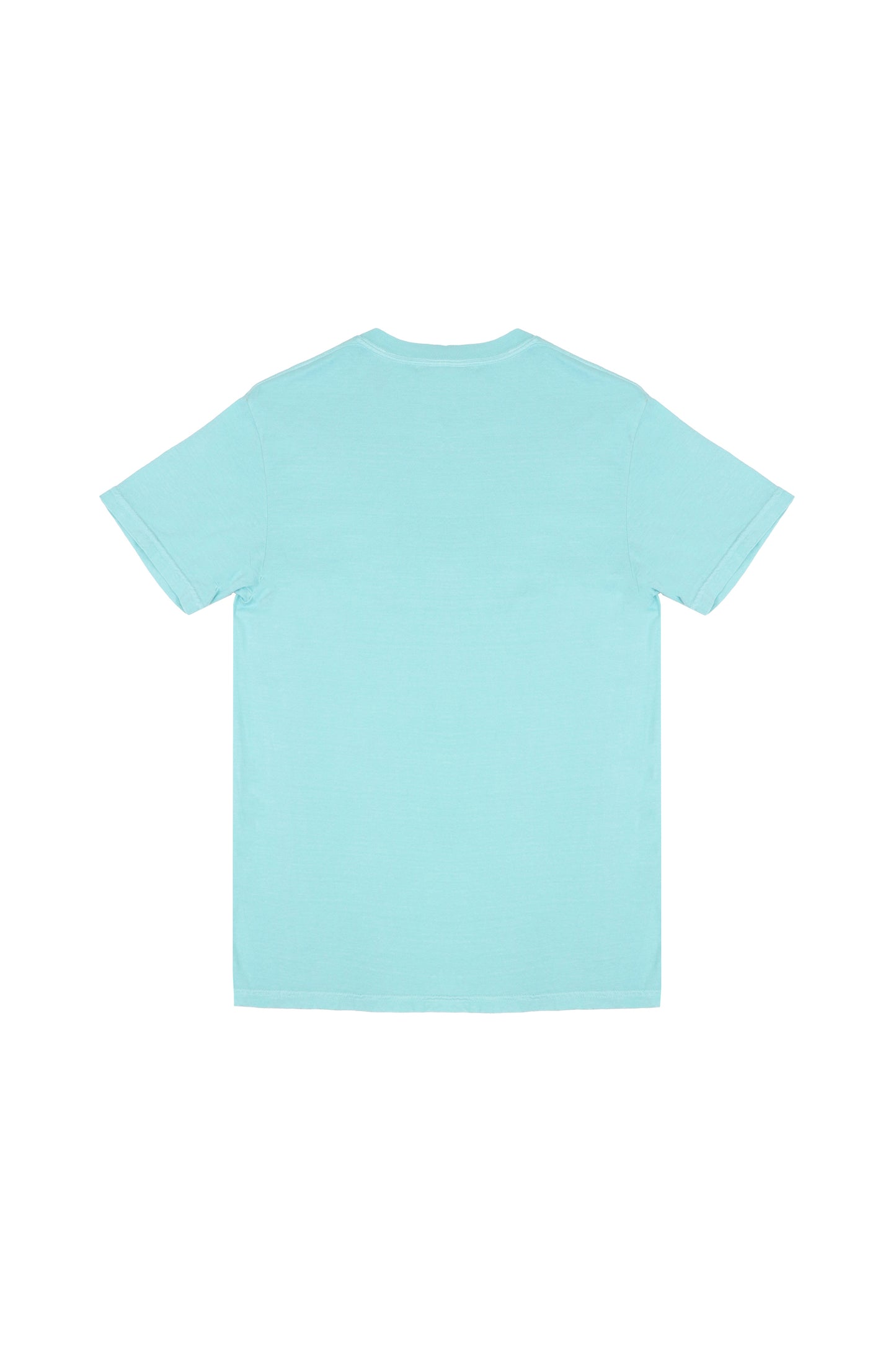 【SS26受注】Souvenir T-Shirt Paradis / Mint / MSS26T061